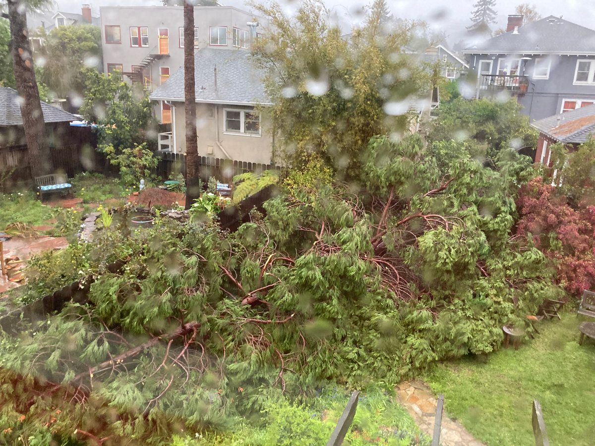 Massive Berkeley storm left 15,000 without power Tuesday