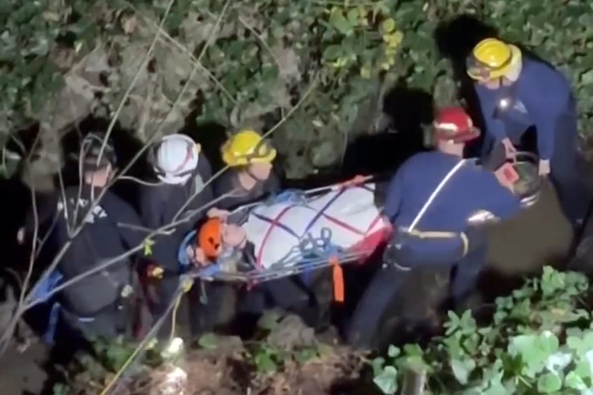 Berkeley firefighters rescue hiker who fell into creek bed