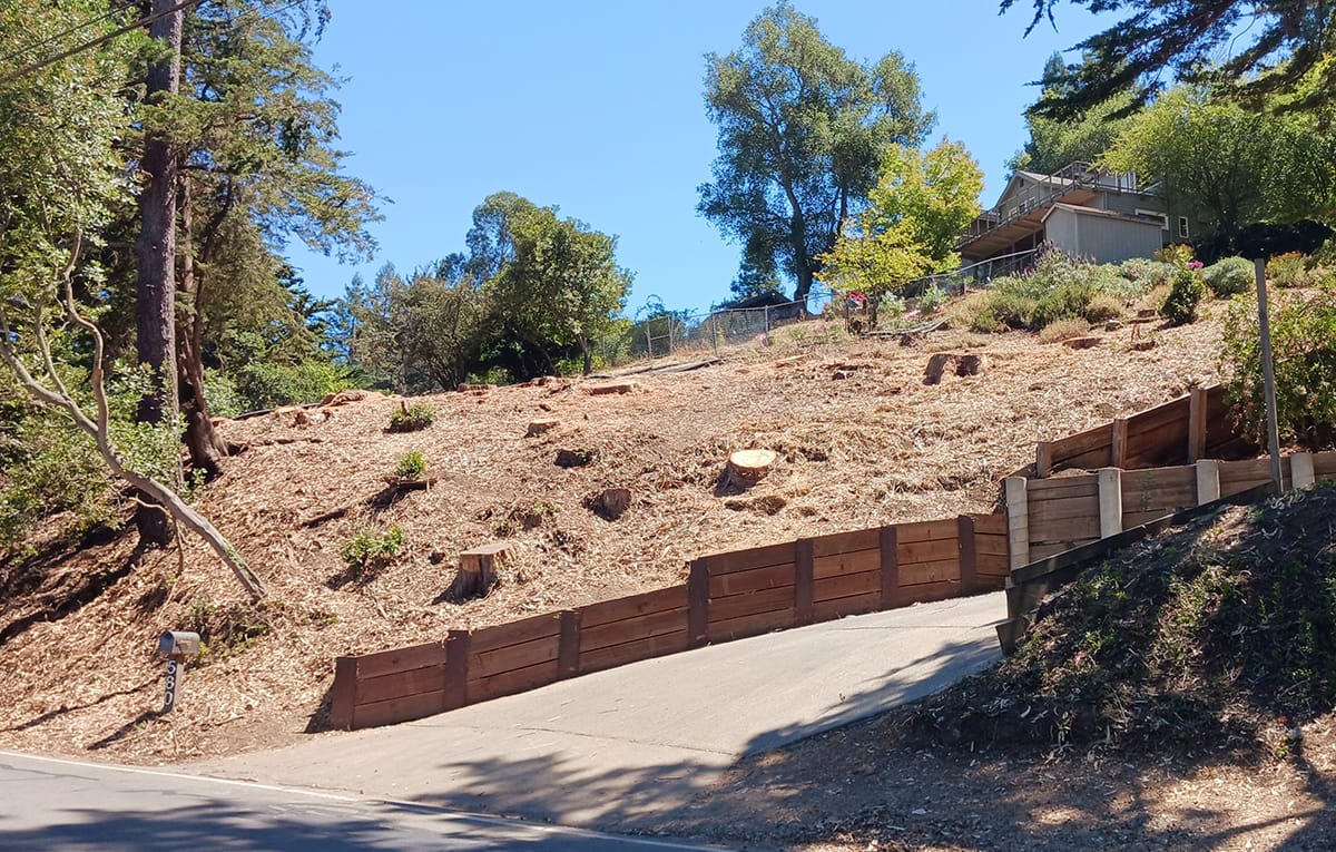 Berkeley fire safety regs bring anxiety — and chainsaws