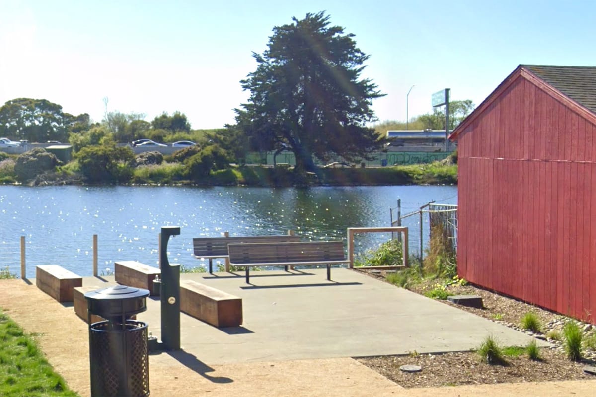Berkeley man recounts how he stopped alleged kidnapping