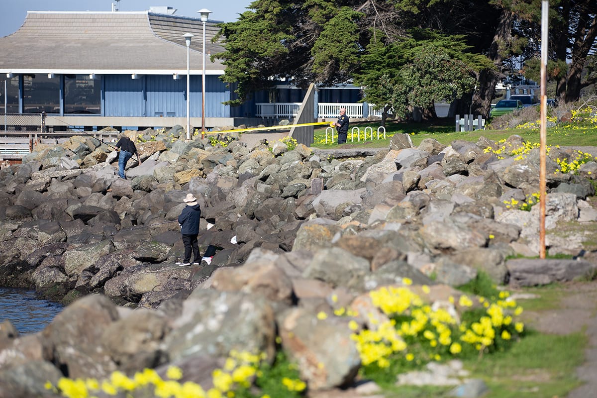 Berkeley hazmat update: Avoid Seawall drive, Shorebird Park