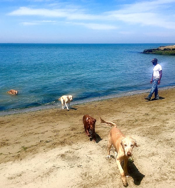 The Gene Ransom I knew More than a basketball player