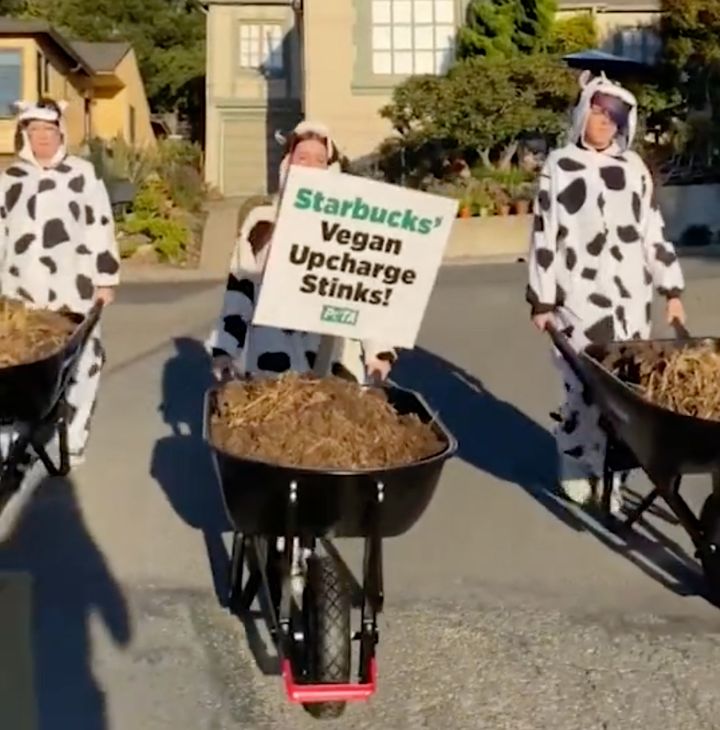 PETA brings Starbucks vegan milk pricing protest to Berkeley