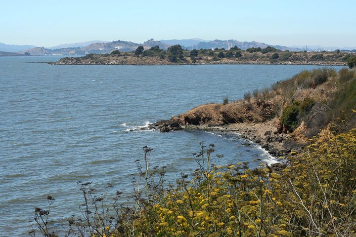 Body found in the water near Golden Gate Fields