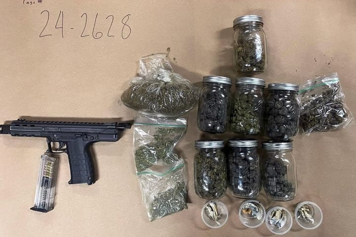 Felon hit with new gun case after Berkeley car stop