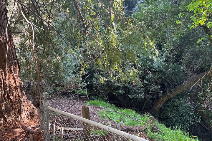 Man's body recovered from steep canyon in Berkeley Hills