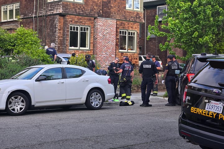 Home invasion suspect arrested after using extinguisher on cops